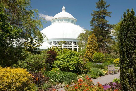 New York Botanik Bahçesi